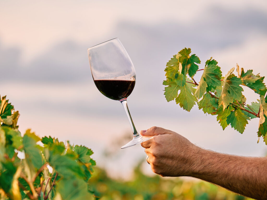 Características principales del vino